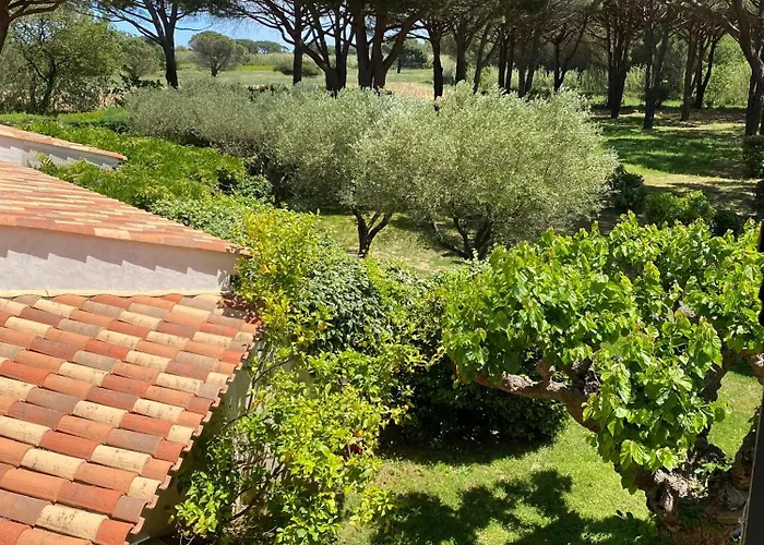 Bed & Breakfast Lei Souco Ramatuelle
