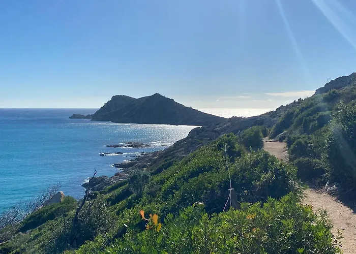 Lei Souco